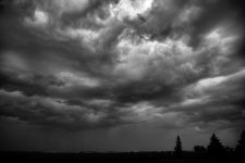 DSC_5593bwheavy.jpg