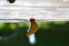 DSC_3252.jpg
