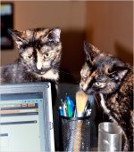 DSC_6902.jpg
