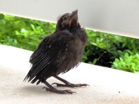 DSCN8968.jpg