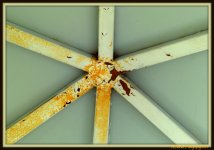 Inside the Roof of the Gazebo.jpg