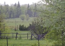 DSC_0119.jpg