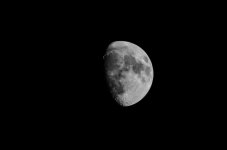 DSC_0704.jpg