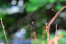DSC_6097_edited.jpg