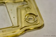 DSC_9386.jpg