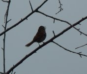 DSCN1727.jpg