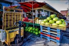 WSM Mellons.jpg