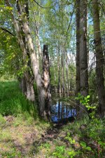 DSC_0196.jpg