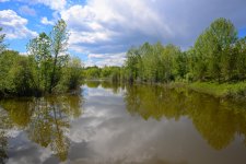 DSC_0198.jpg