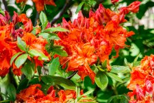 DSC_9436.jpg