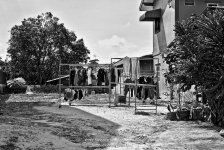 lifebb-1.jpg
