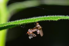 DSC_6294_edited.jpg