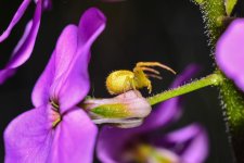 DSC_6373_edited.jpg