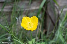 DSC_0003.jpg