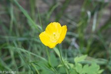 DSC_0011.jpg
