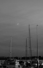 _D713532.jpg