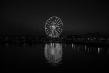 _D713536.jpg