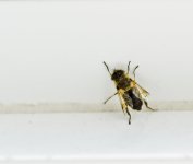 DSC_7108.jpg
