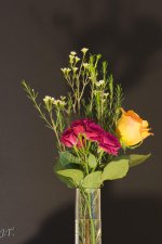 Still Life #1_158.jpg