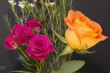 Still Life #1_168.jpg