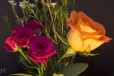 Still Life #1_171.jpg