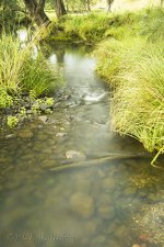 DSC_0261_webshot.jpg