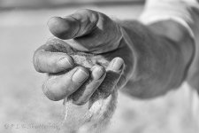 DSC_0093B&W_webshot.jpg