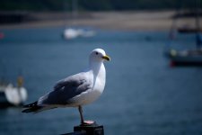 DSC_0772.jpg
