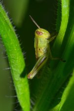 DSC_6473_edited.jpg