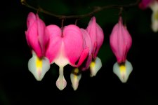 DSC_6680_edited.jpg