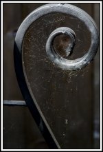 FirstV2-4.jpg FirstV2-4.jpg