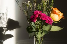 Still Life #2_063.jpg