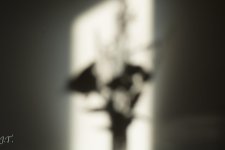 Still Life #2_028.jpg