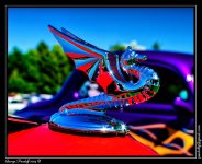 HDR_DSC_8334.jpg