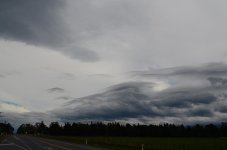 DSC_8419.jpg