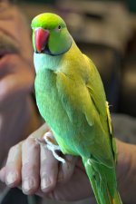 002+Kiwi_DSC7462+-1.jpg