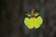 DSC_6111.jpg