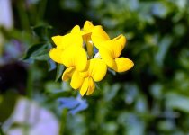 DSC_3307.jpg
