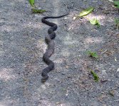 DSC_3309.jpg