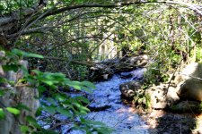 DSC_3304.jpg