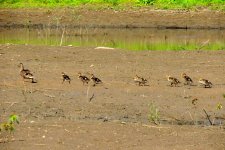 DSCN9310.jpg