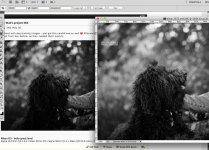 Screen Shot 2014-06-02 at 18.37.51.jpg