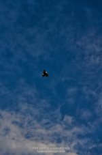 sunrise-banbueng-48.jpg