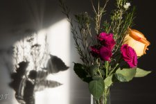 Still Life 4_056.jpg