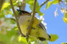 DSC_1134.jpg