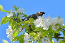 DSC_1190.jpg
