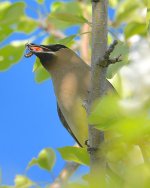 DSC_1194.jpg