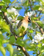 DSC_1217.jpg