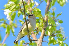 DSC_1242.jpg