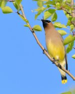 DSC_1271.jpg